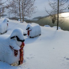 Выпал новогодний снег в поселке Трувиль Выпал новогодний снег в КП Трувиль