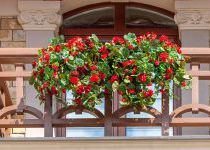 Балкончик с цветами, таунхаус в поселке Трувиль